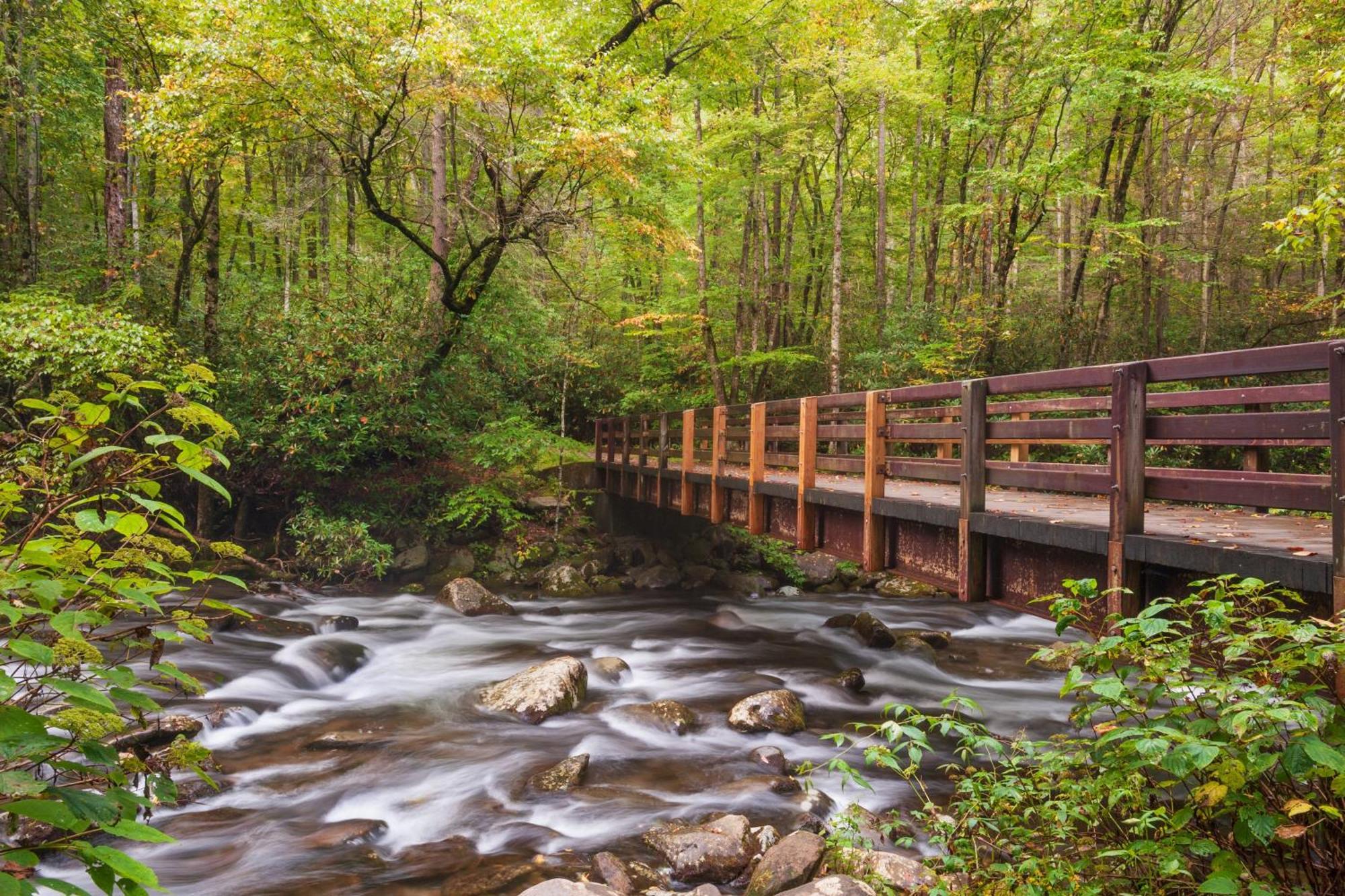 Hidden Memories, Hot Tub, 1089 Of Free Attraction Tickets For Each Paid Day, Dollywood And More Gatlinburg Extérieur photo